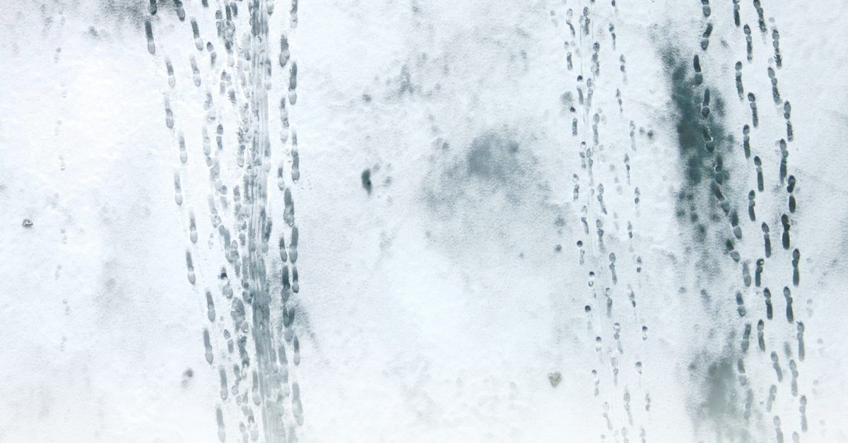 An epic party is in progress